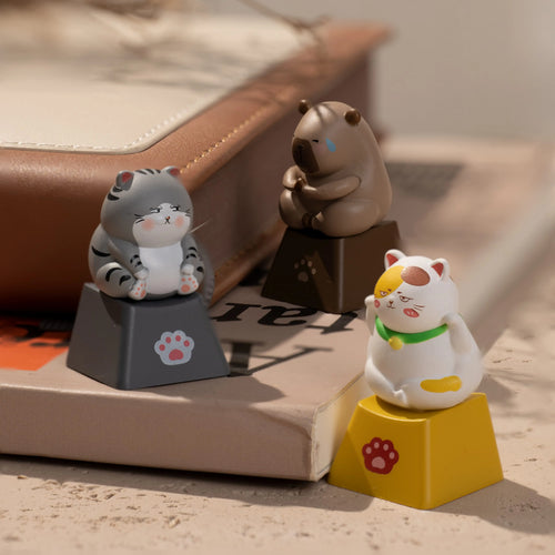 Akko Keycap Switch Tester Set for Cherry MX Mechanical Keyboard Decorative Personality Three-dimensional Keycap Kawaii Gift 9pcs